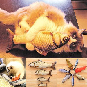 Fish Toy for Cat