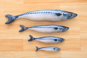 Fish Toy for Cat