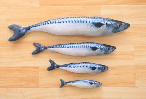 Fish Toy for Cat