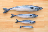 Fish Toy for Cat