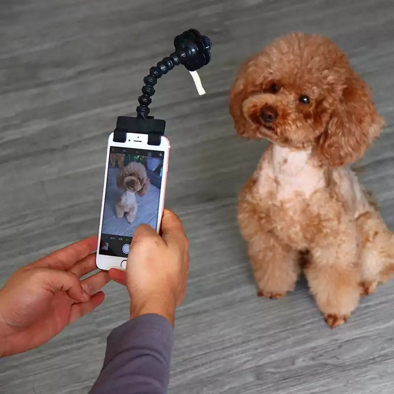 Amazing Dog Selfie Stick