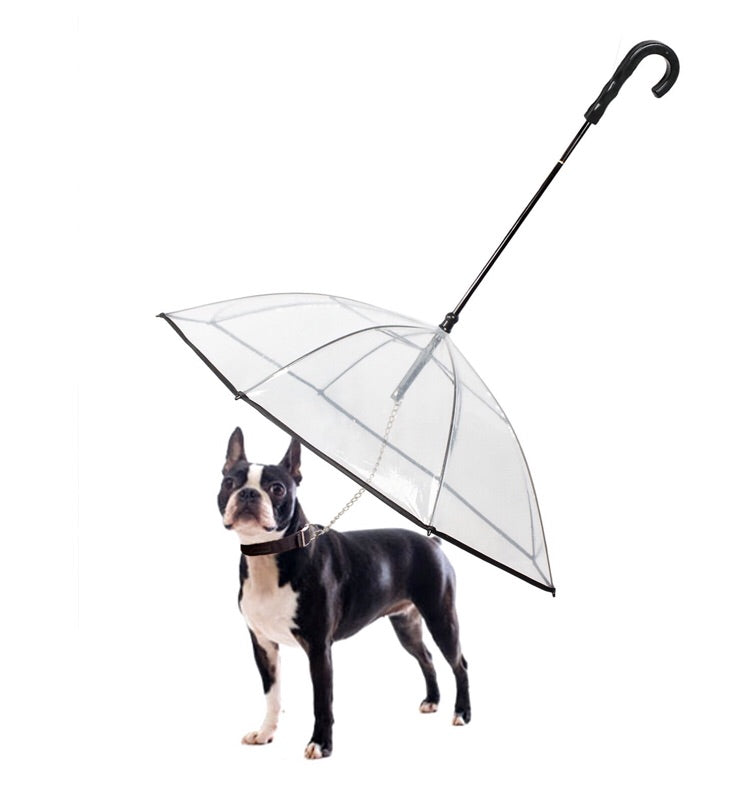 Dog Umbrella